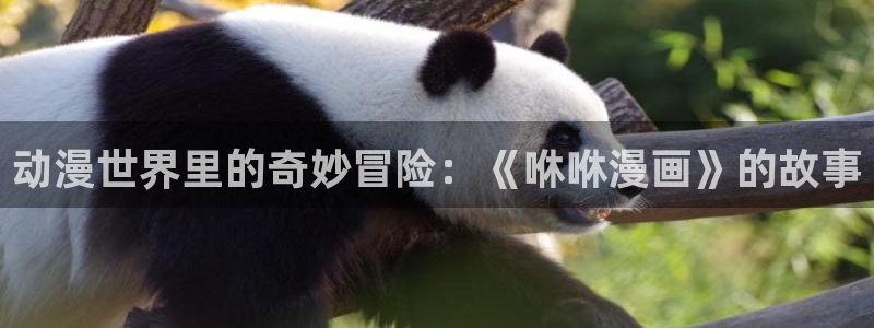 羞羞漫画入口免费观看：动漫世界里的奇妙冒险：《咻咻漫画》的故事